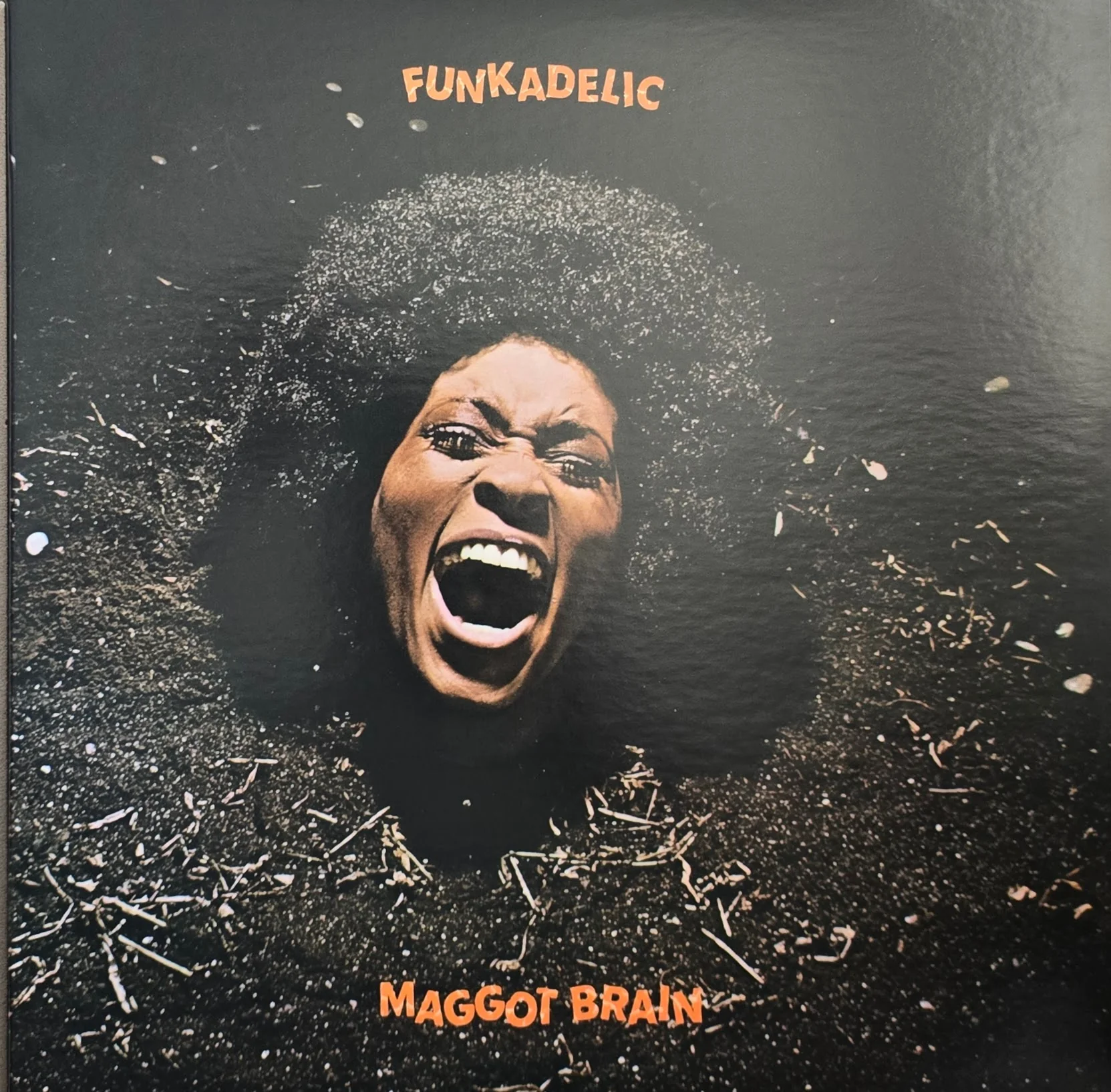 Funkadelic – Maggot Brain