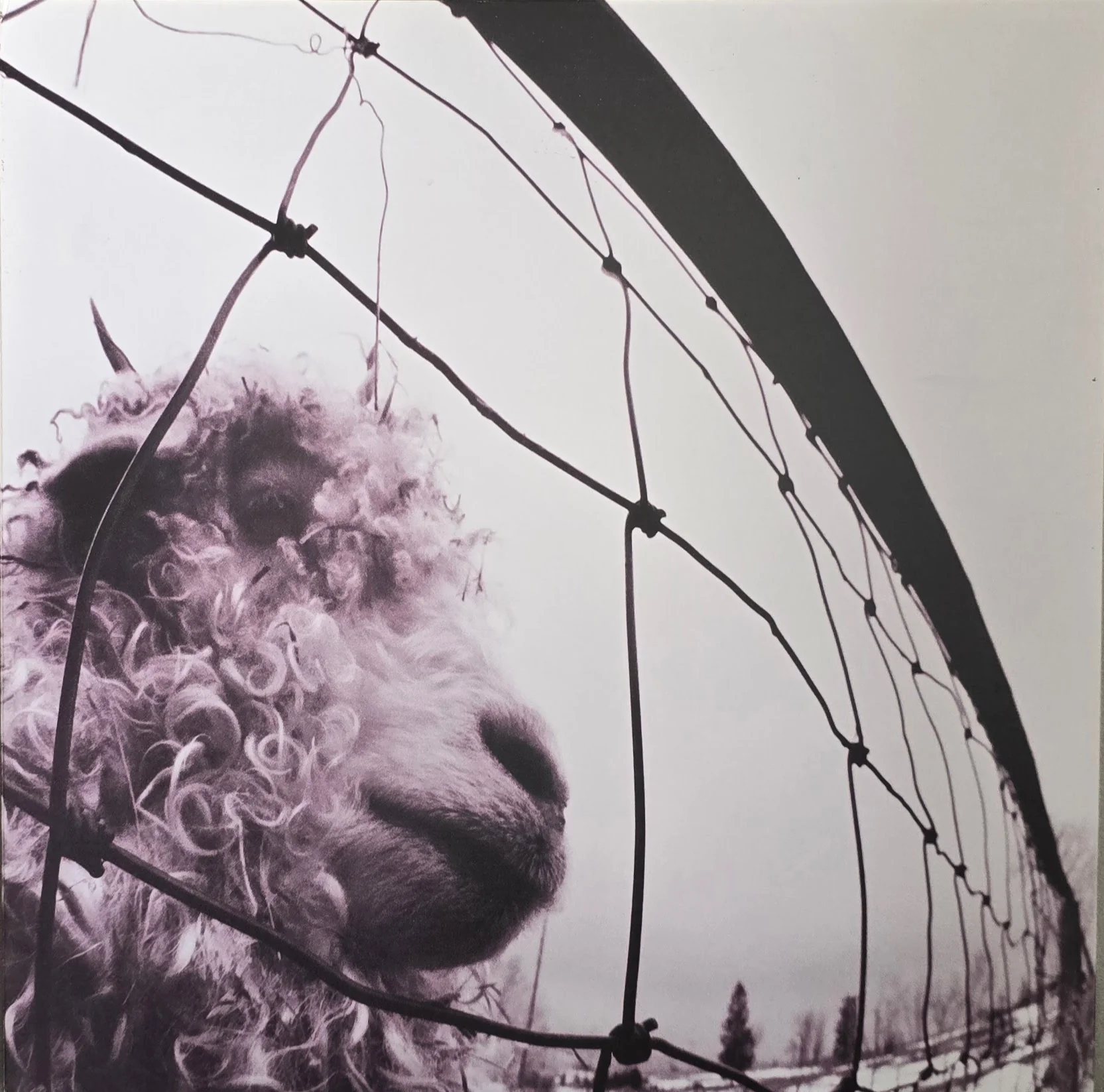 Pearl Jam – Vs.