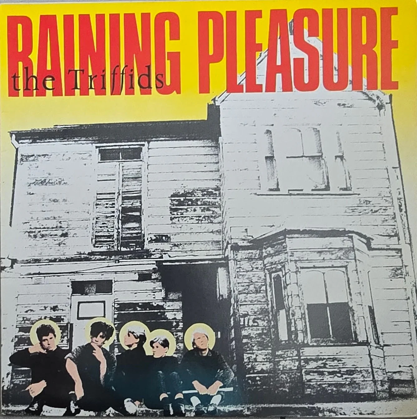 The Triffids – Raining Pleasure